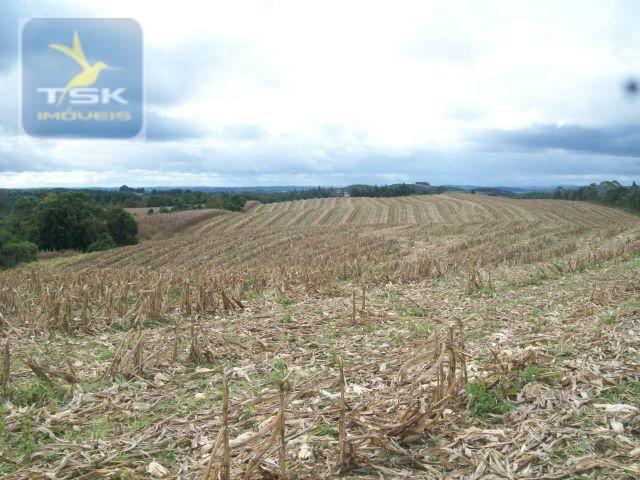 Fazenda em Quitandinha - (Cerrinho) - - Foto 7