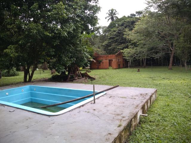 25 hectares a 55 km de Belém lindo Sitio por 200 mil reais Aceito carro na negociação - Foto 18