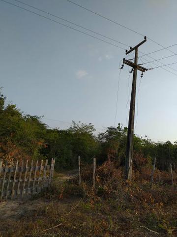 Terreno em Alcântara - Foto 3