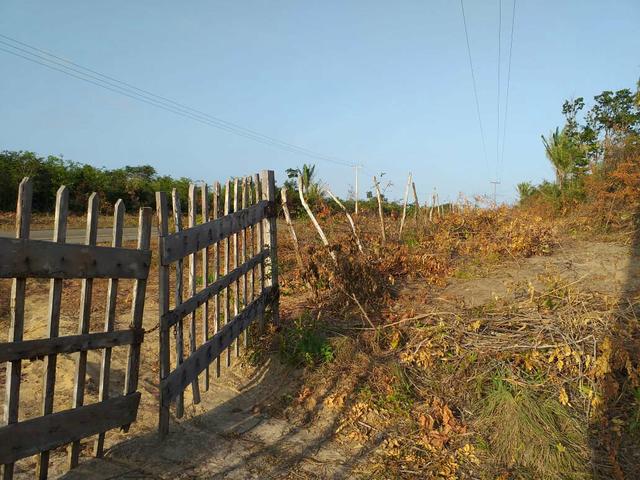 Terreno em Alcântara - Foto 2