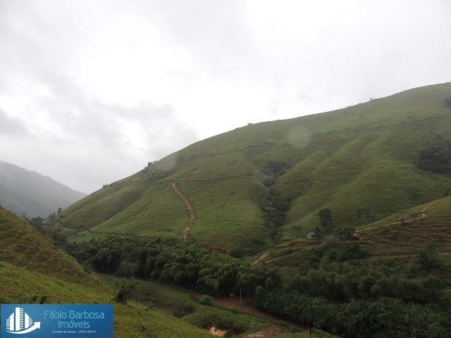 Fazenda 32,29 alq. de $ 3.571.331,05 por 2.500.000,00 - Peixe Verde - Viana - Foto 17