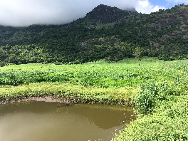 Venda de fazenda - Foto 4