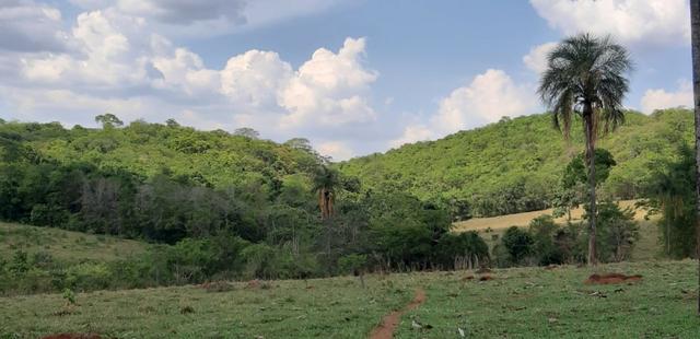 Fazenda a venda em bela vista de goias