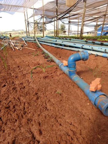 Tubos de PVC azul para irrigação por gotejo  - Foto 3