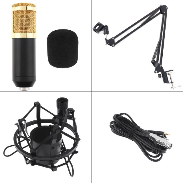 Microfone Condensador com braço articulado Bm-800