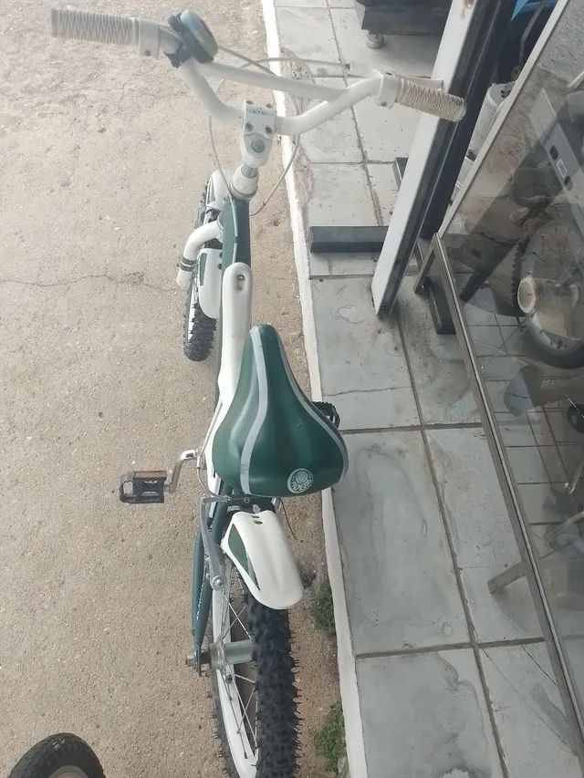 Bike do Palmeiras aro 16 