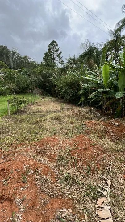 Terreno com área verde em ótima localização. Vila da grama - Trajano de Moraes - Foto 2