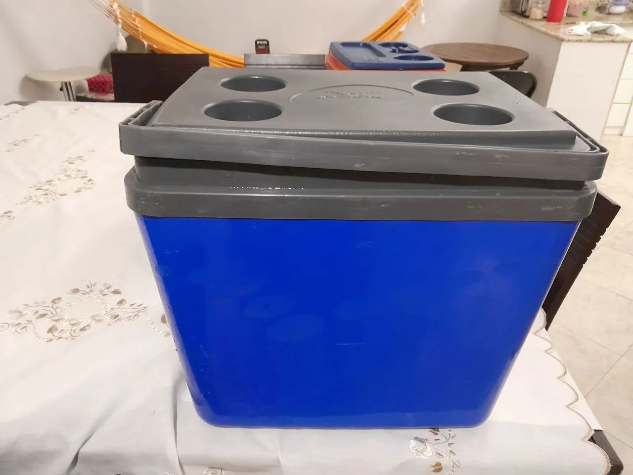 Cooler Portátil Azul 35 kg60