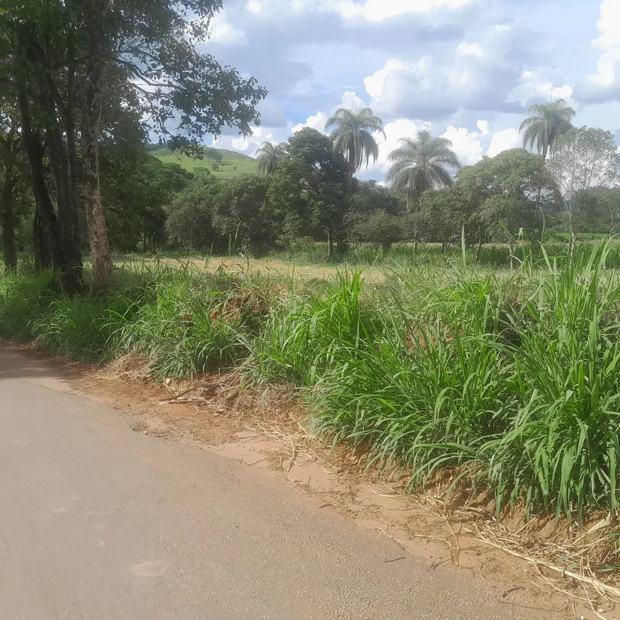 Chacaras rurais em sitio novo  - Foto 5