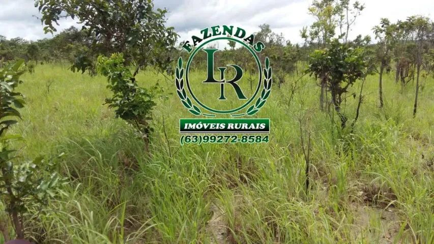 Fazenda 292 Alqueires Dupla Aptidão - Foto 3