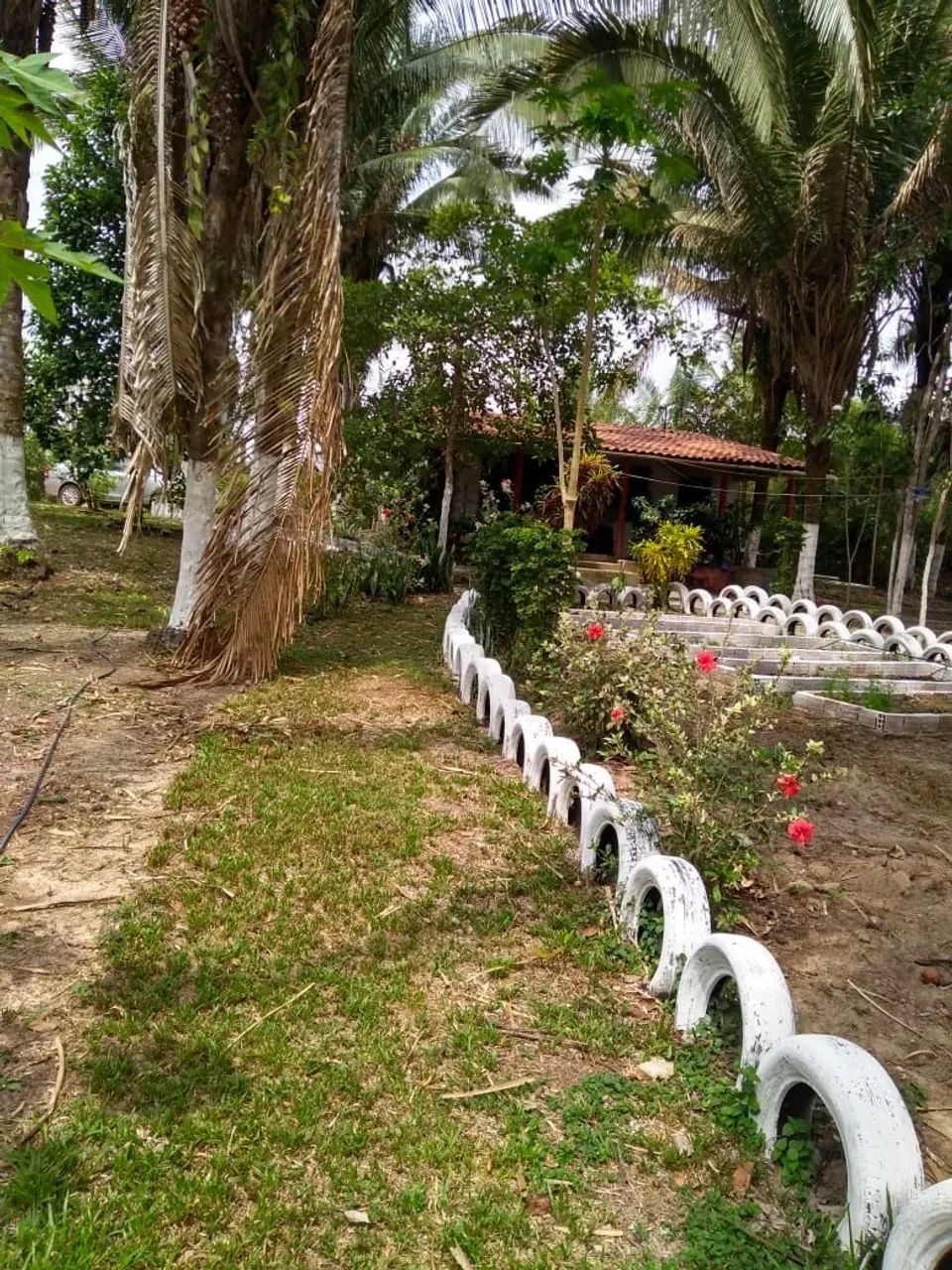 Vendo propriedade localizada logo após Bacabeira - Foto 3