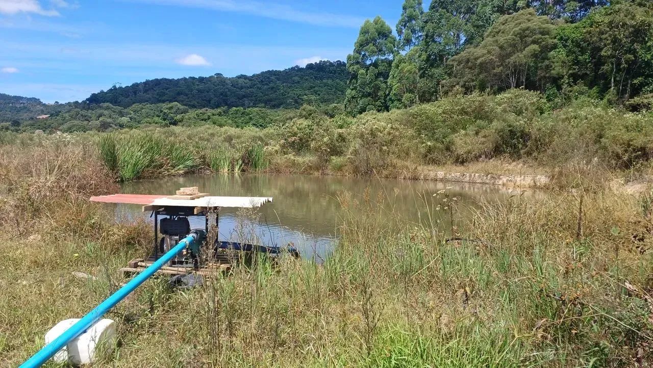 Imóvel para venda tem 110000 metros quadrados em Barro Preto - Alfredo Wagner - SC - Foto 7