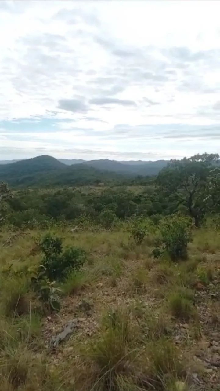 Vendo 10 alqueires  na região do morro agudo de Goiás, 180km de Goiânia!!  - Foto 3