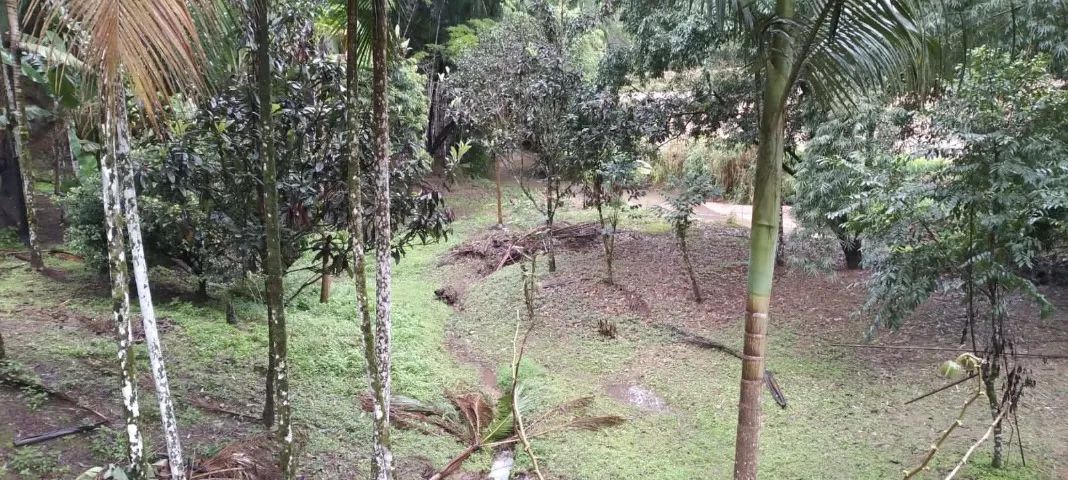 Sítio com 18 mil m2 em Timbó - Santa Catarina - prox. da zona turística do Morro Azul - Foto 2