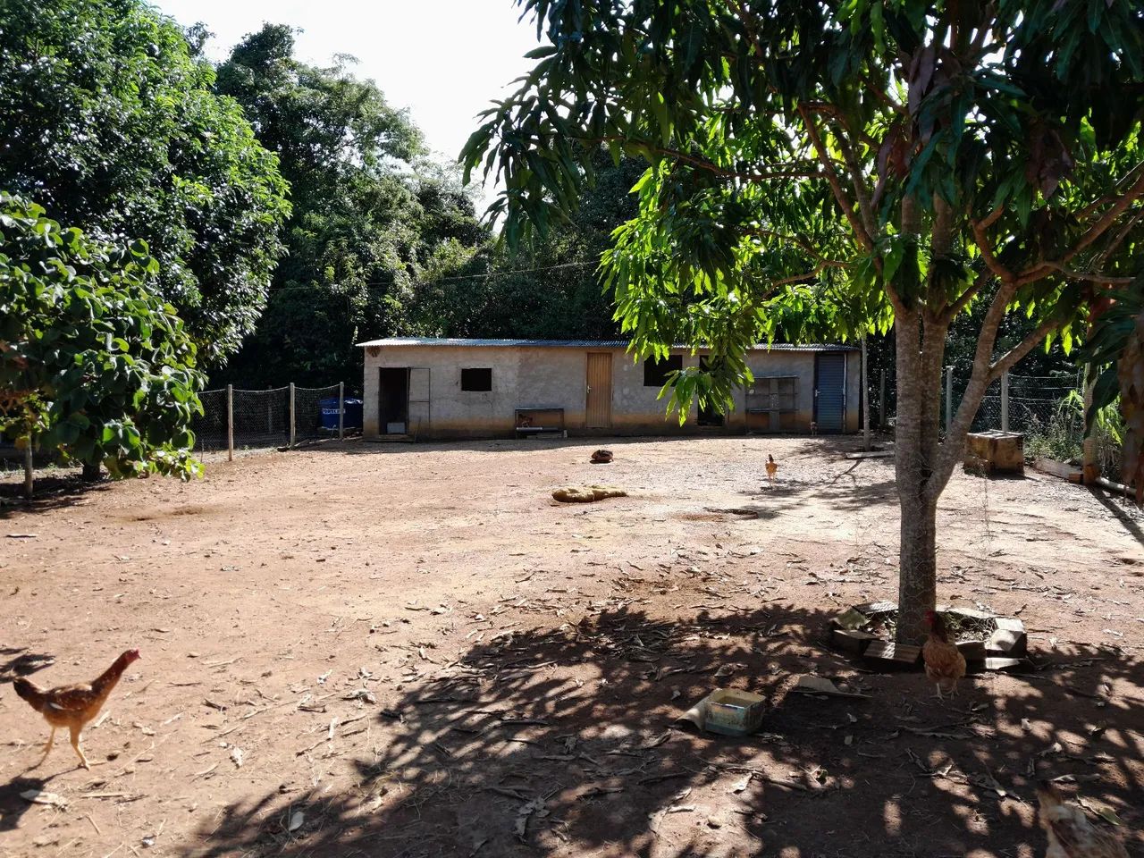 Chácara 7.500M2 em Bonfinópolis-Go  - Foto 8