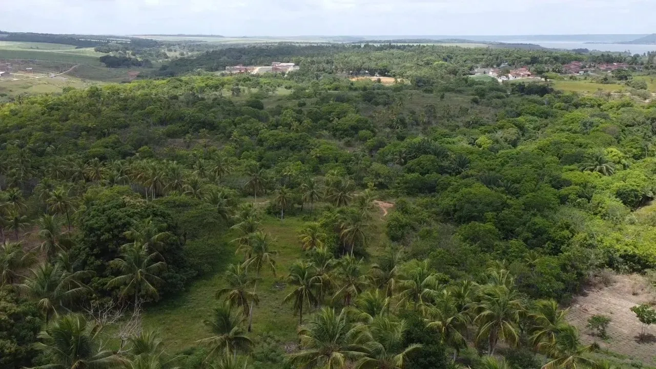 VENDA | Sítio com 29 hectares (Marechal Deodoro/AL)