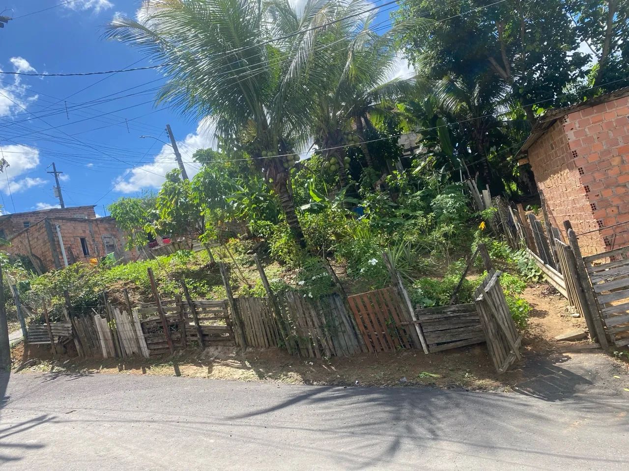 Terreno 