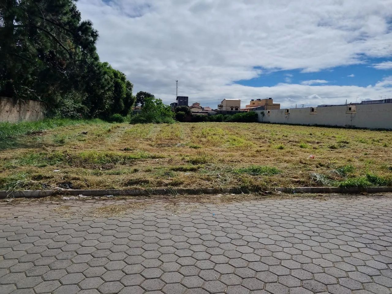 Terreno 5000 metros quadrados Potim SP - Foto 3