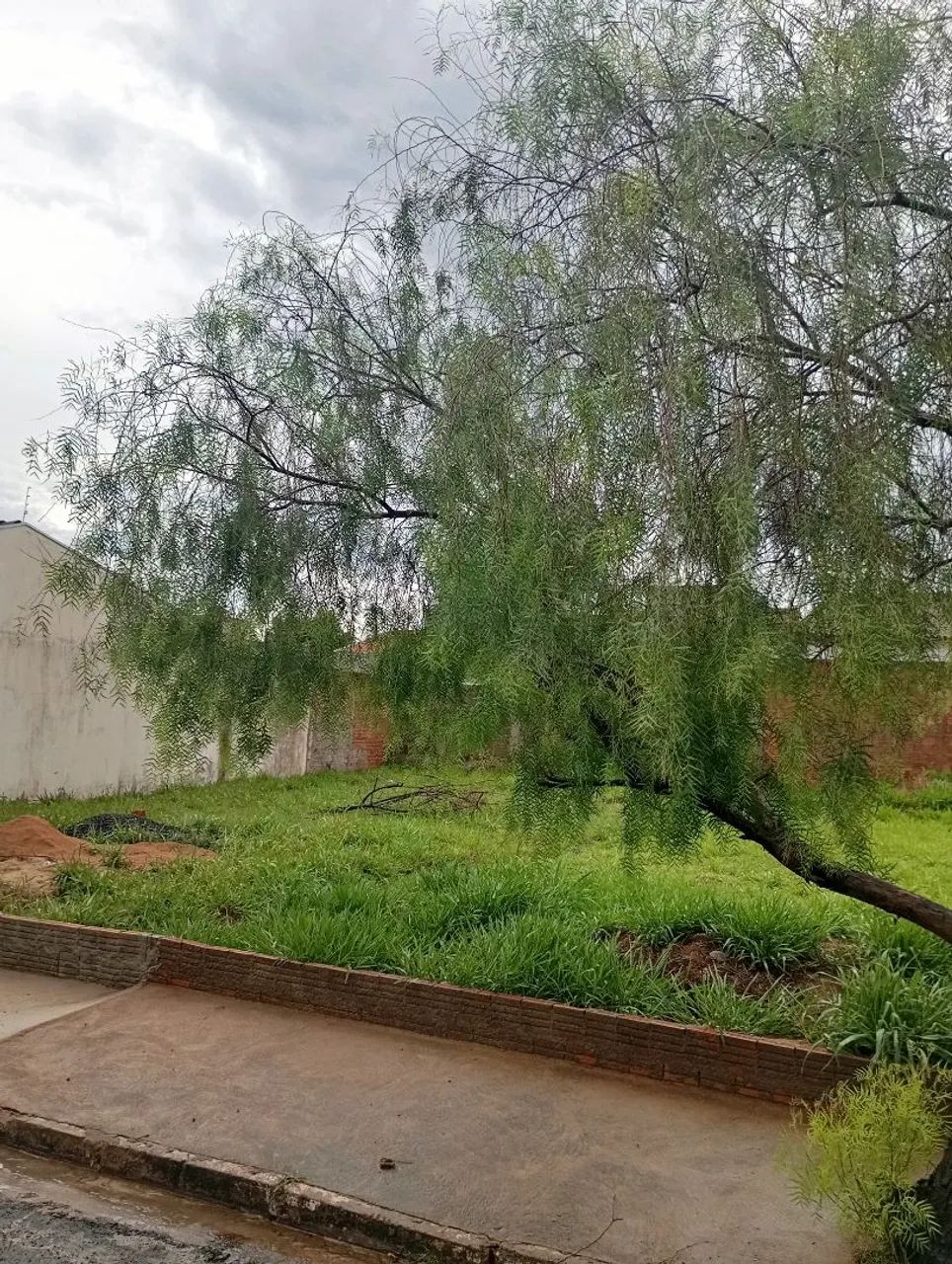 Foto - São José do Rio Preto - Jardim Mugnaini