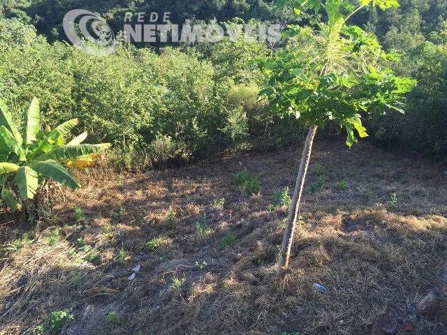 Venda Chácara Condomínio Village Juatuba Juatuba - Foto 4