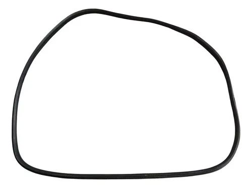 Borracha Porta Traseira Esquerda Renault Fluence 2014