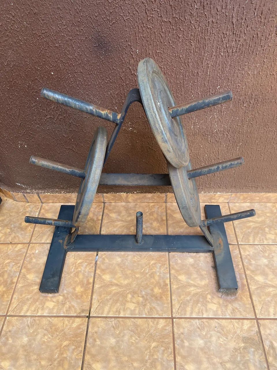 Suporte e alteres 15 e 10 kg 