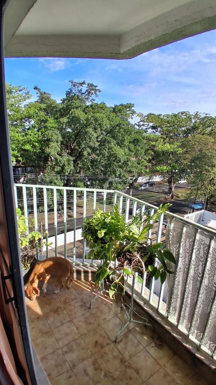 Apartamento ótima localização e valorização  - Foto 2