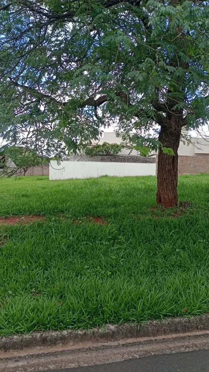 Lote/Terreno para venda com 457 metros quadrados - Foto 6