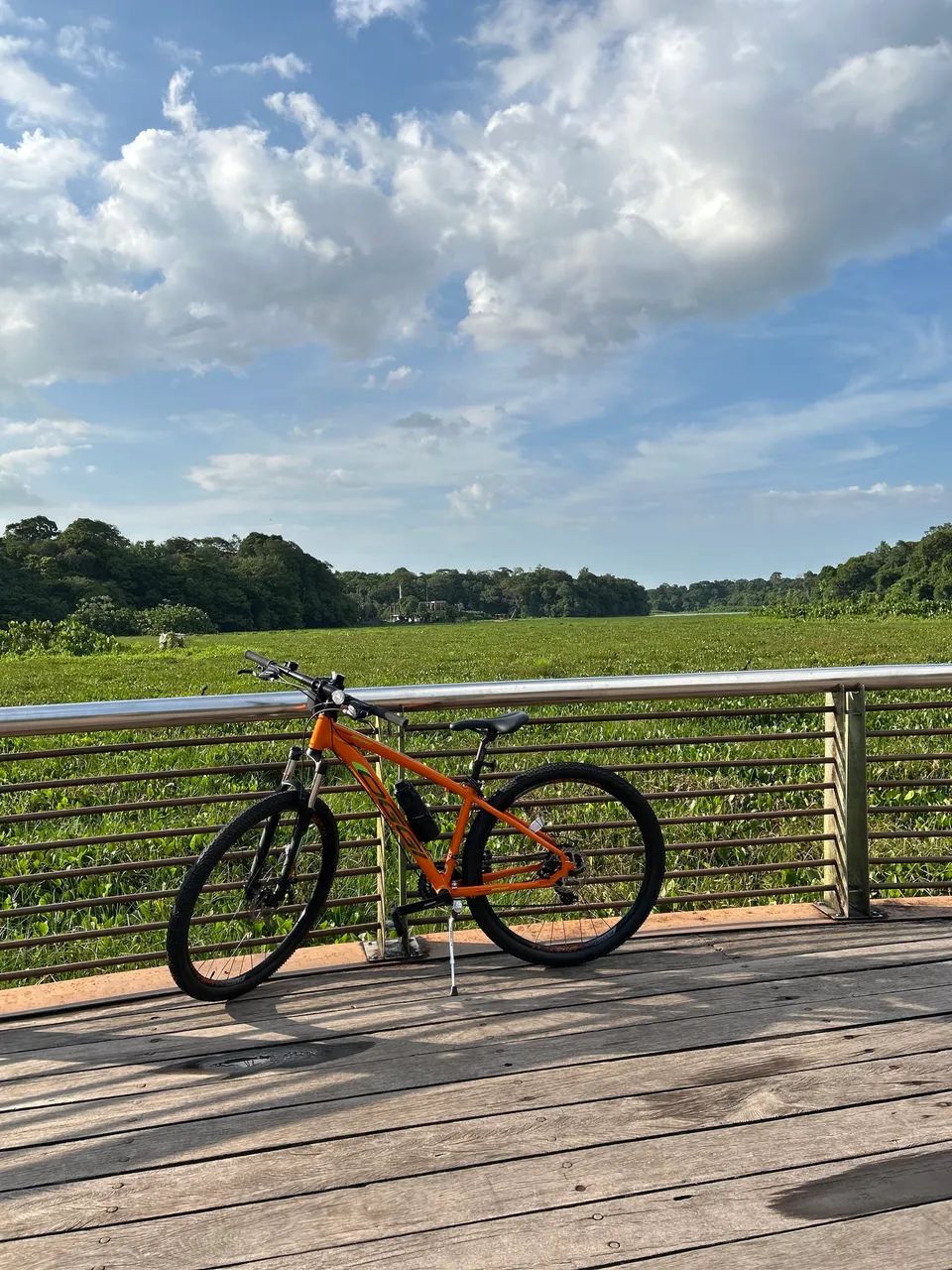 Bicicleta - Foto 2