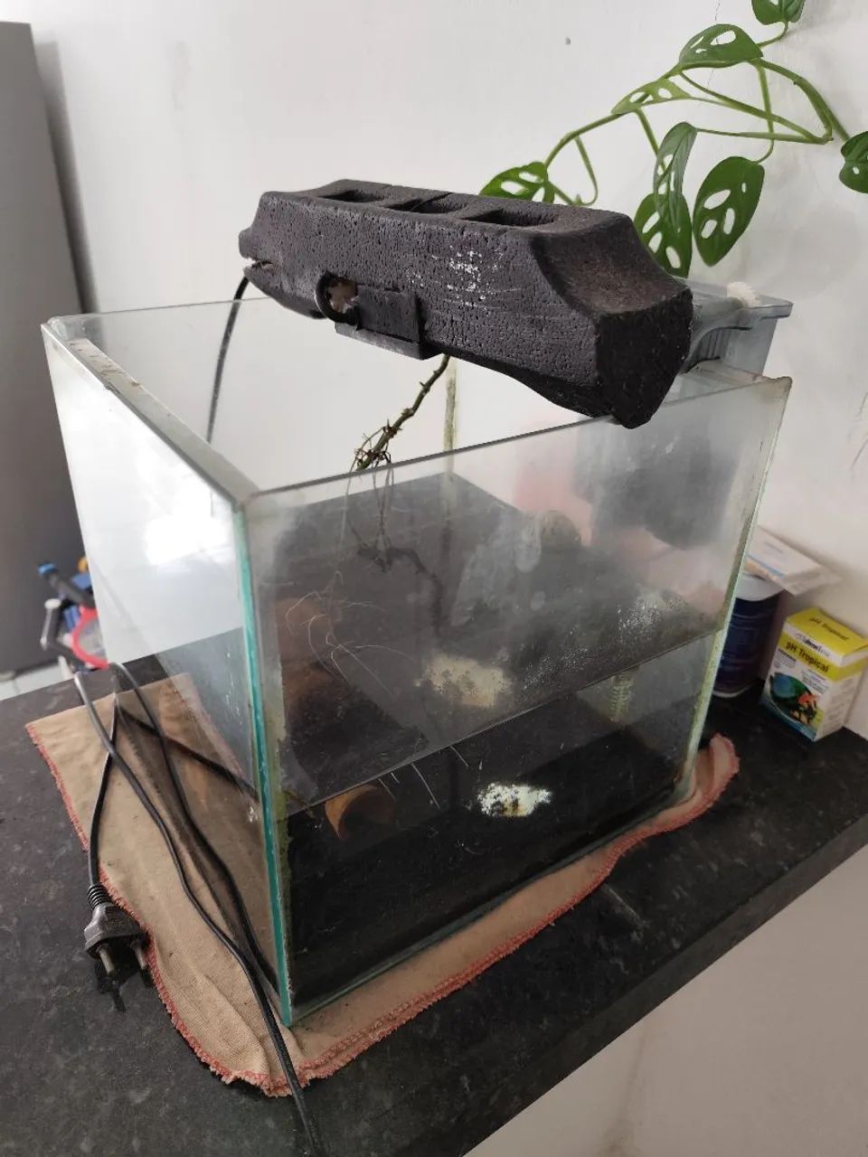 Aquário ornamental  - Foto 4