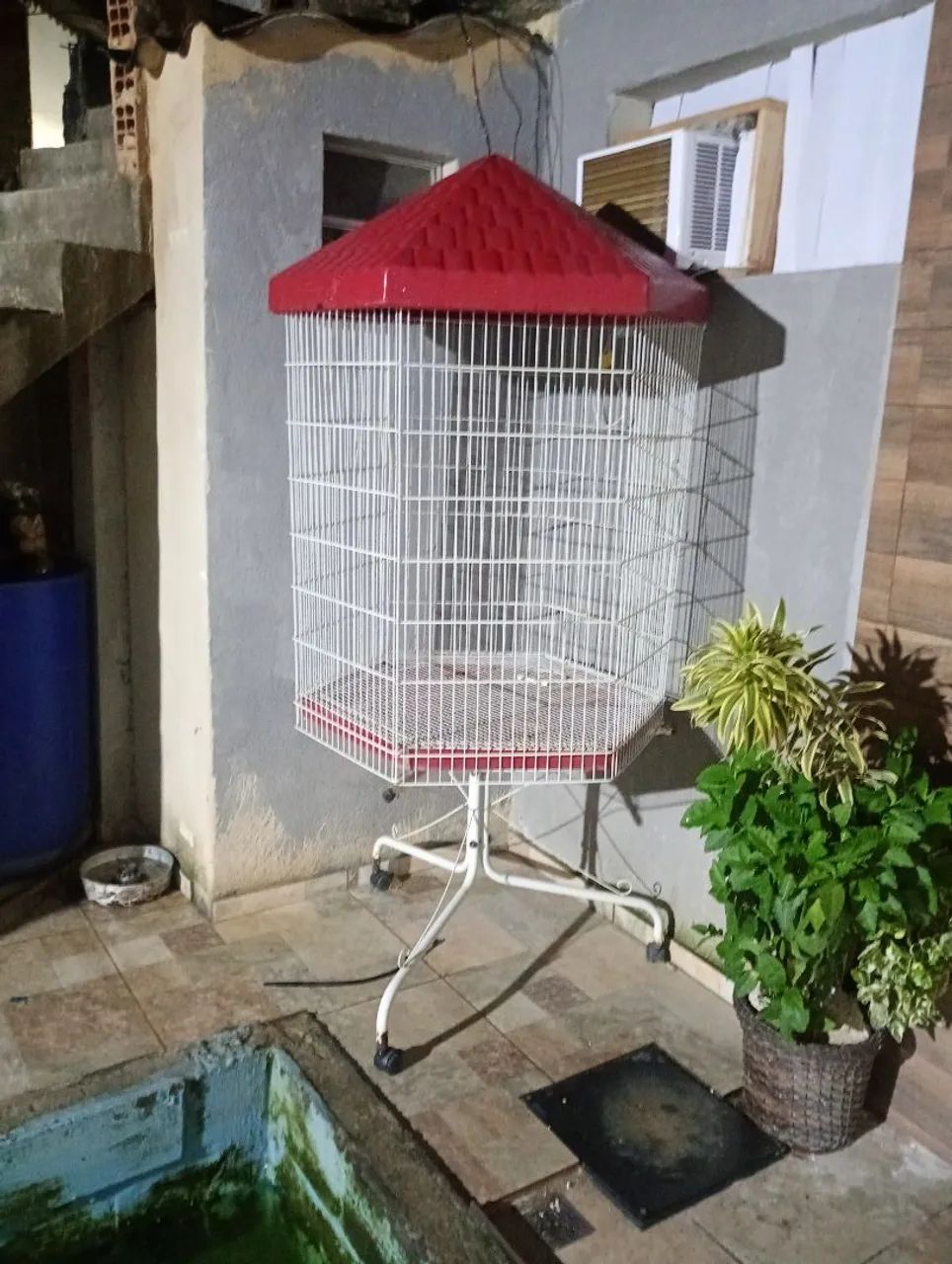 Pra sair hoje 