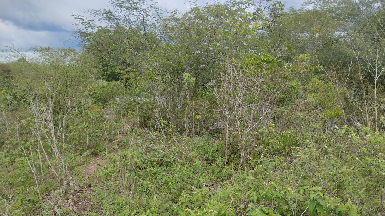 16 Tarefas de terra  - Foto 4