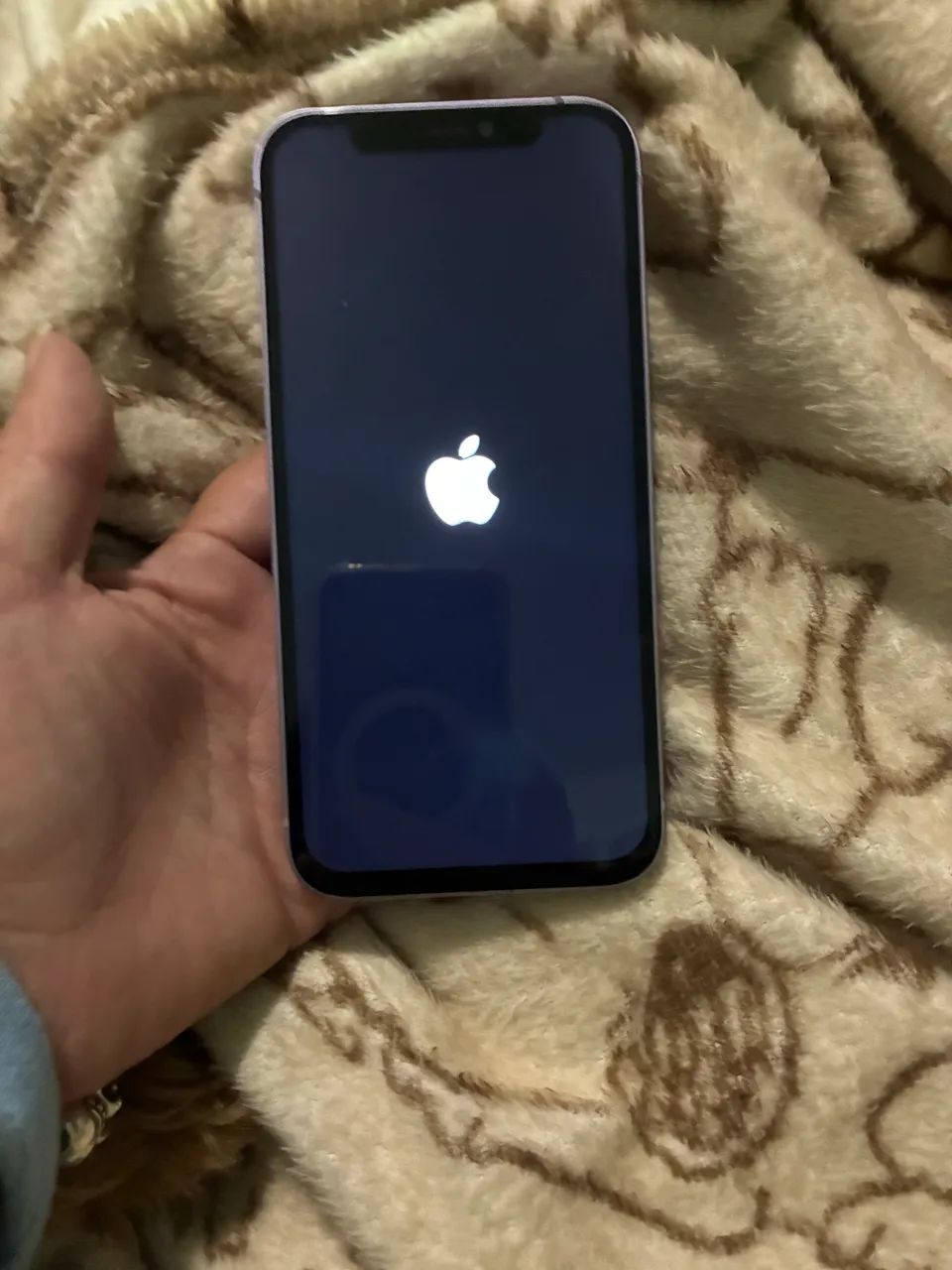iPhone 12
