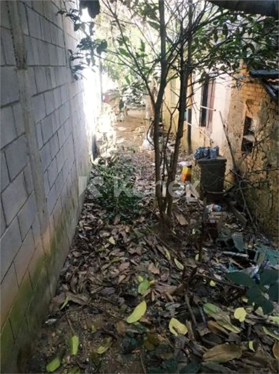 Terreno à venda com 211 m² em Vila Matilde, São Paulo - Foto 5