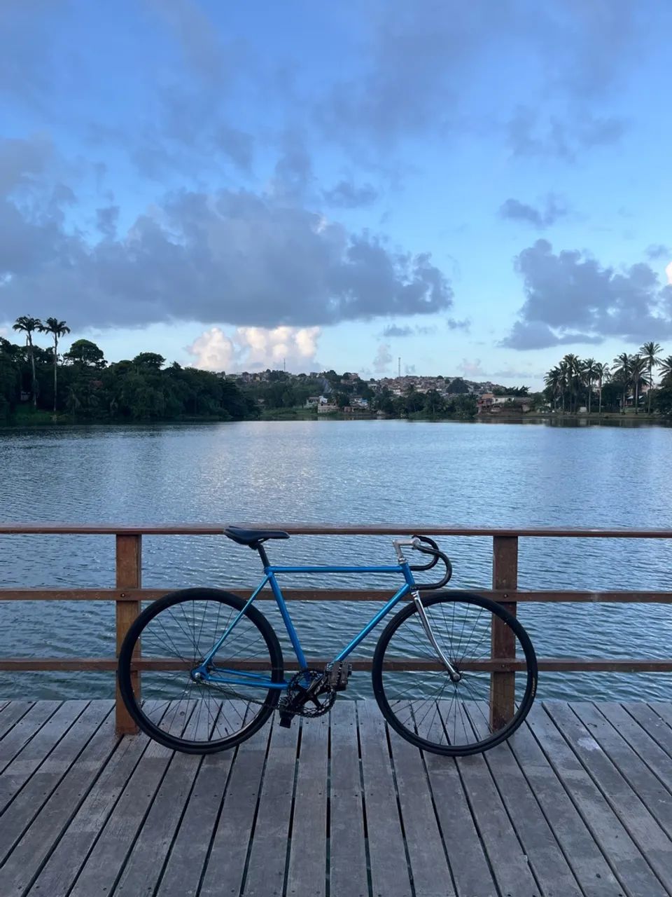 Bike fixa