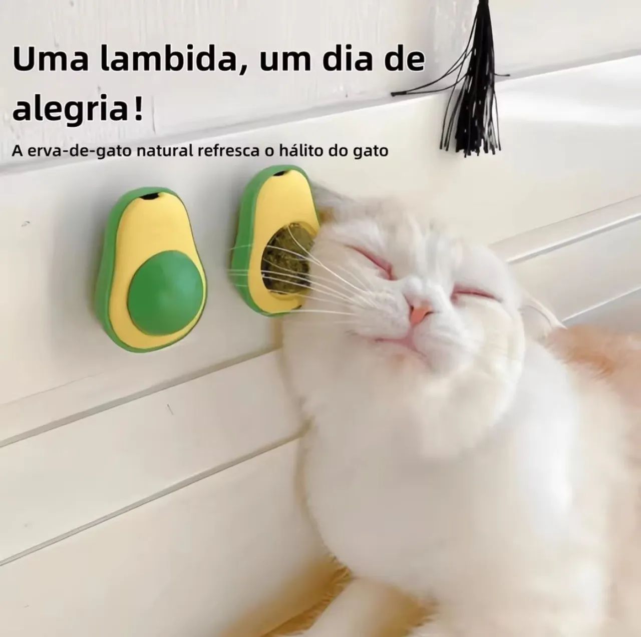 Abacate pro Gato - Foto 3