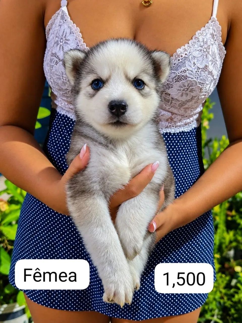 Pra venda - Foto 4
