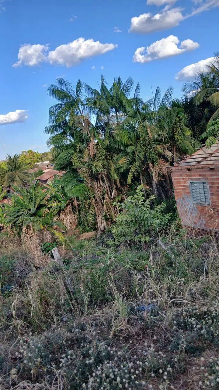 Terreno a vendar