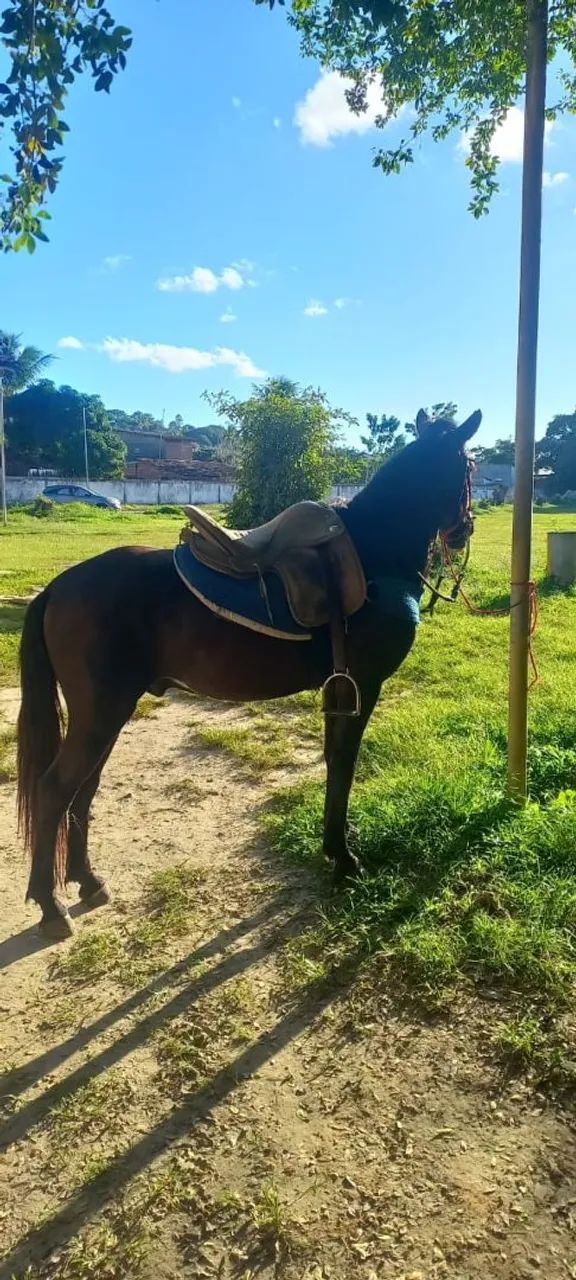 Vendo  - Foto 3