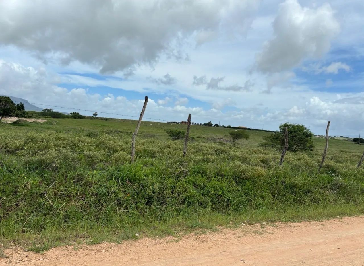 Vendo terreno no povoado Malhada Velha - Foto 3
