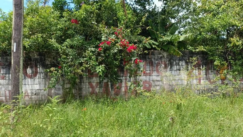 Foto - Peruíbe - Estância dos Eucaliptos