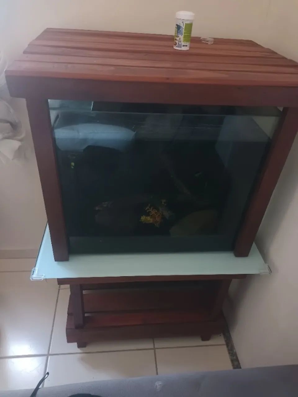 Aquário 