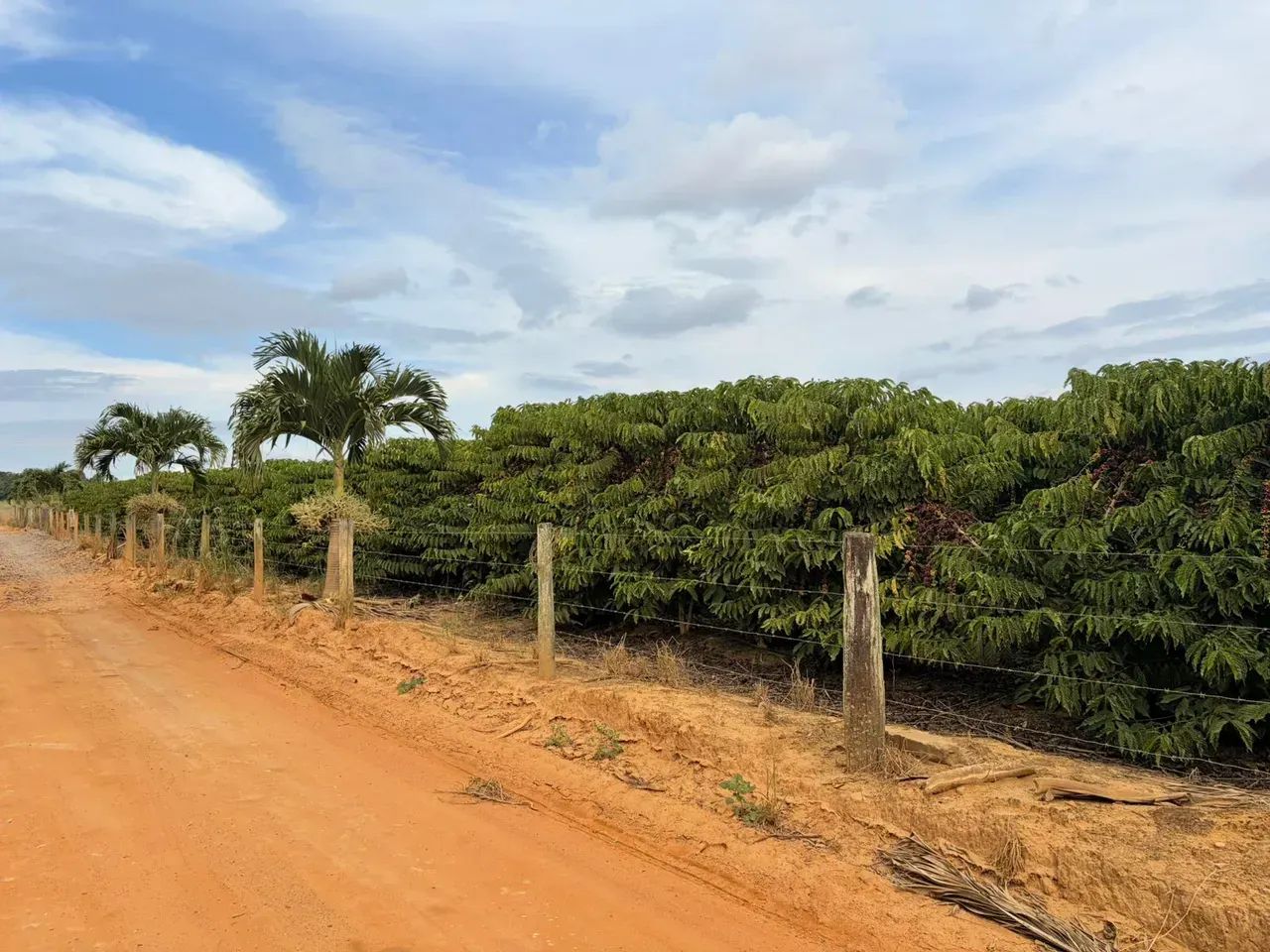 CHÁCARAS - 150 MIL: COM 1.500M², ENERGIA, ÁGUA E PORTÃO ELETRÔNICO. - Foto 2