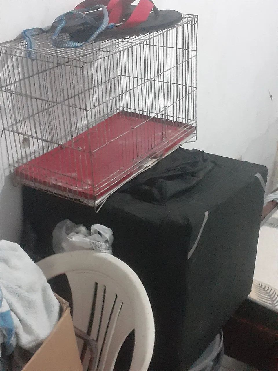 Gaiola pra todos roedores