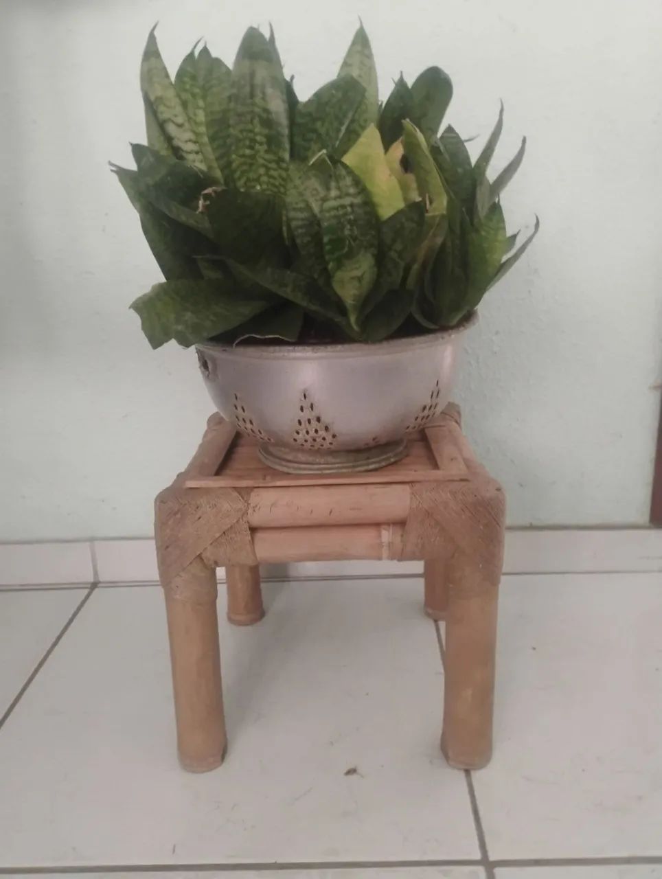 Banqueta de bambu guadua  - Foto 4