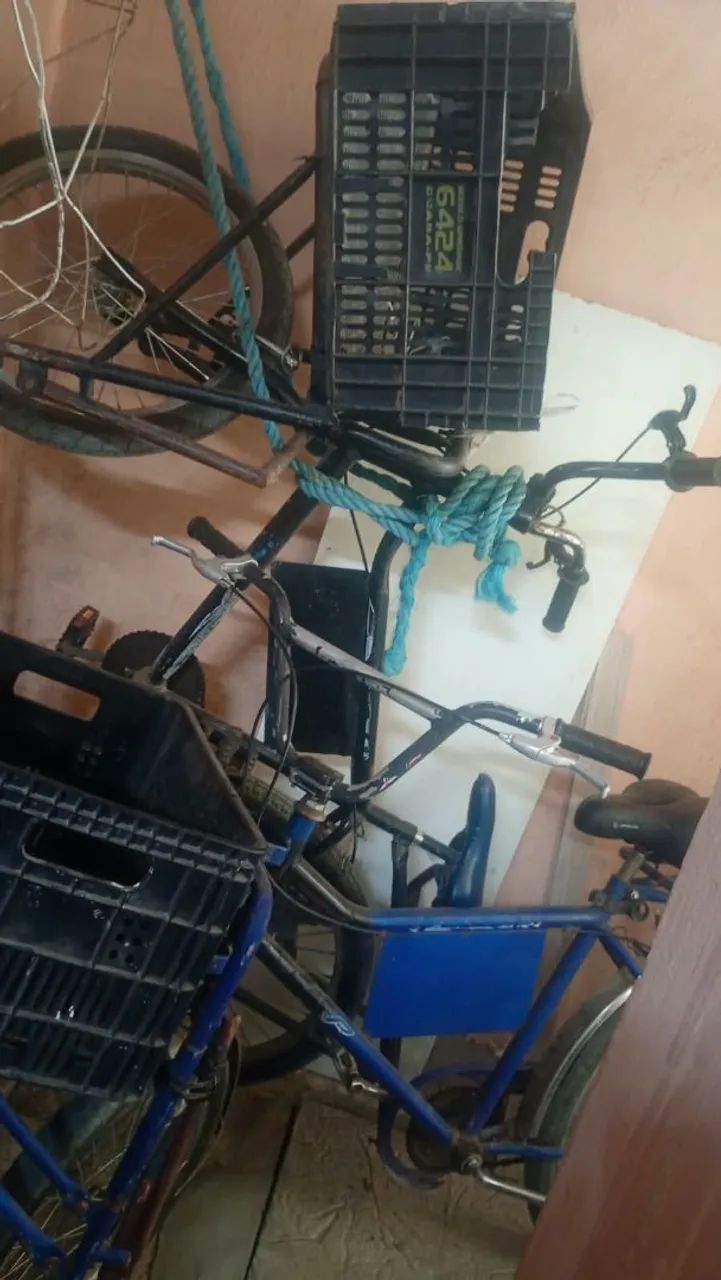 Bicicleta de carga