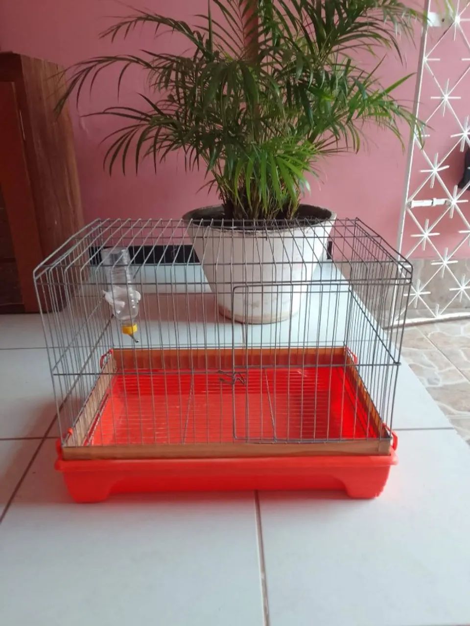 Gaiola Porquinho da Índia - Foto 3