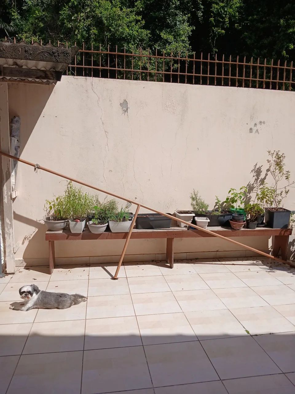 Corrimão  - Foto 2