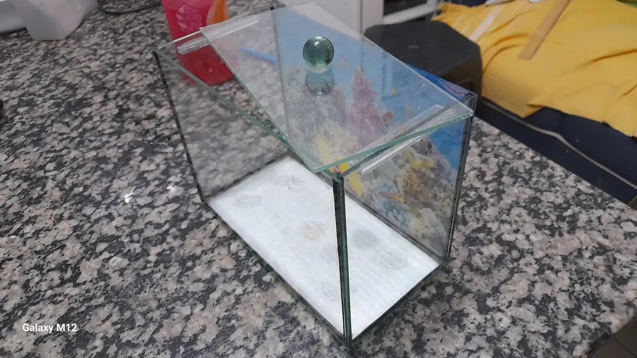 Aquario  - Foto 2