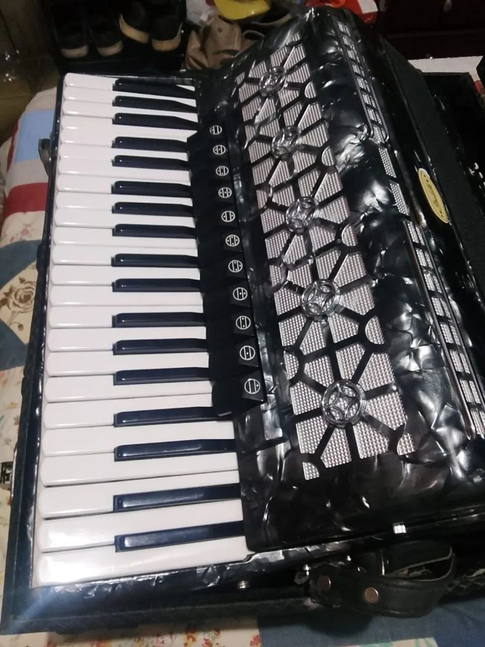 Acordeon 